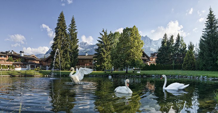 Green Spa Resort Stanglwirt Swan Lake