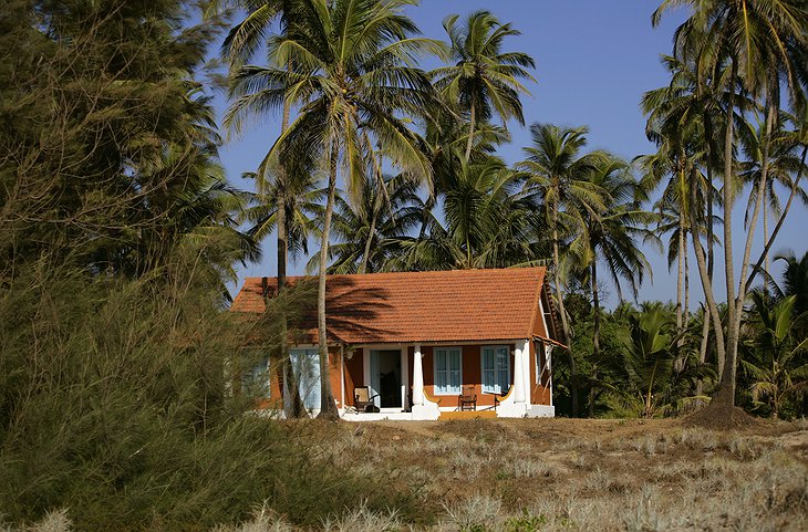 Elsewhere Goa house with palms