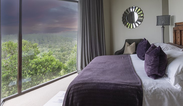 Tsala Treetop Lodge Bedroom Window Panorama On The Forest
