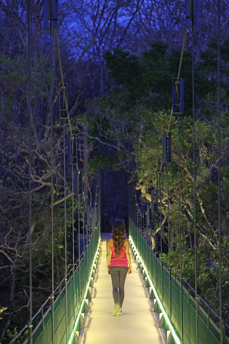 Rio Perdido lodge Hanging bridge