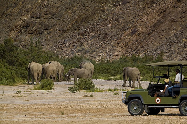 Purros, Namibia Elephants