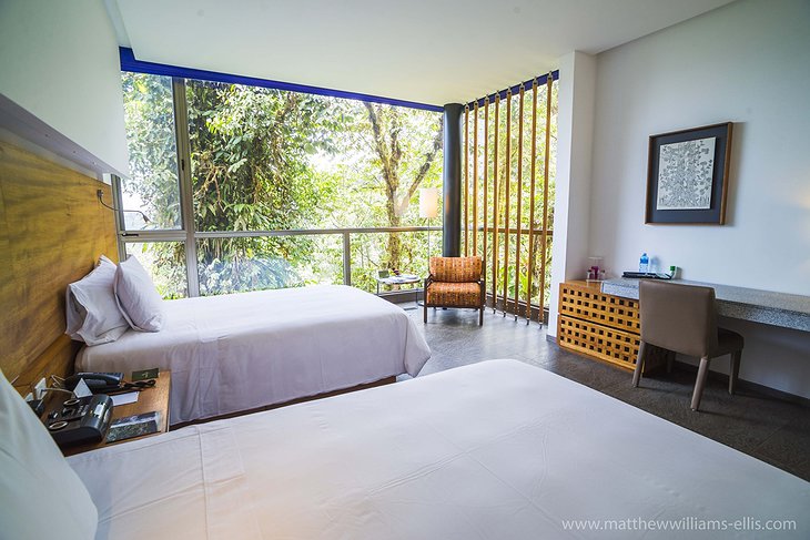 Mashpi Jungle Lodge room with nature views