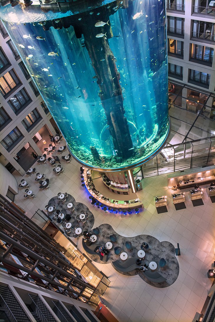 25 meter high AquaDom, the world’s largest freestanding, cylindrical aquarium