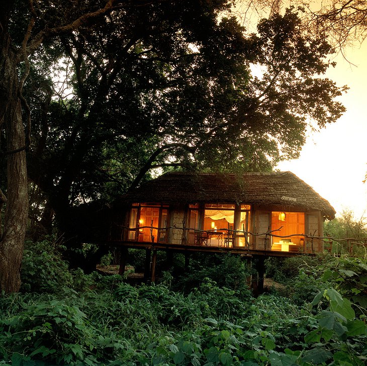 Treehouse suite exterior at &Beyond Lake Manyara Tree Lodge