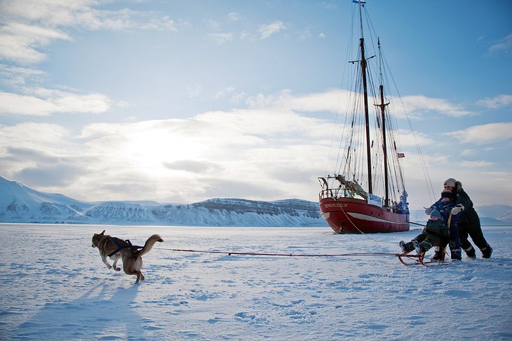 Dog sledging on the ice of the fjord