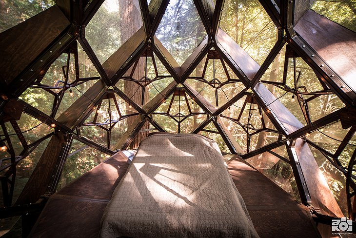 O2 Treehouse Pinecone Bedroom
