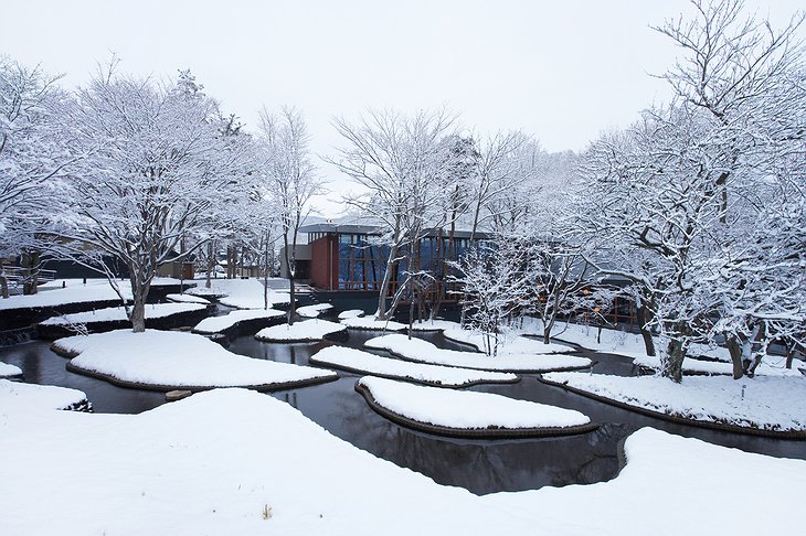 garden in winter