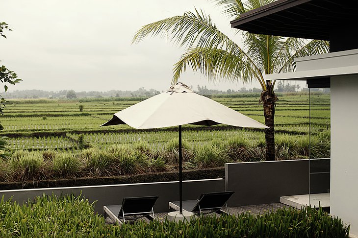 Terrace pool villa with rice paddies view