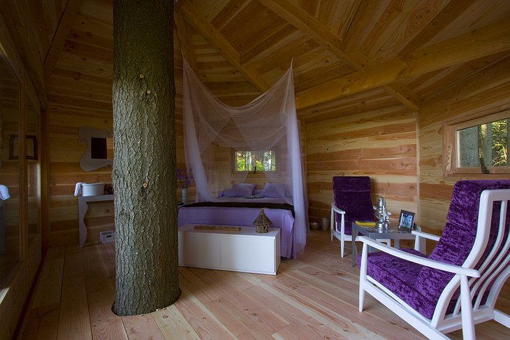 Cabanes Als Arbres tree house purple room