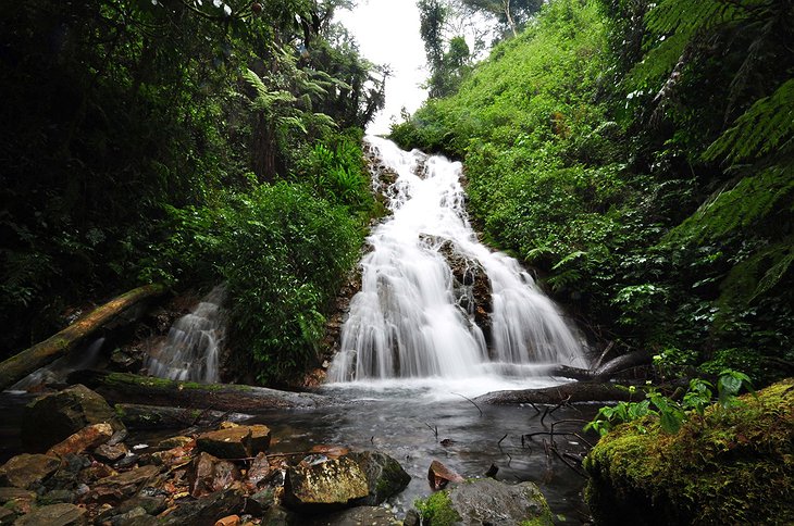 Bwindi National Park waterfall