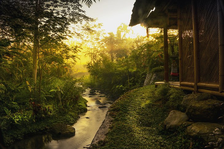 Hideout Bali bamboo house morning view