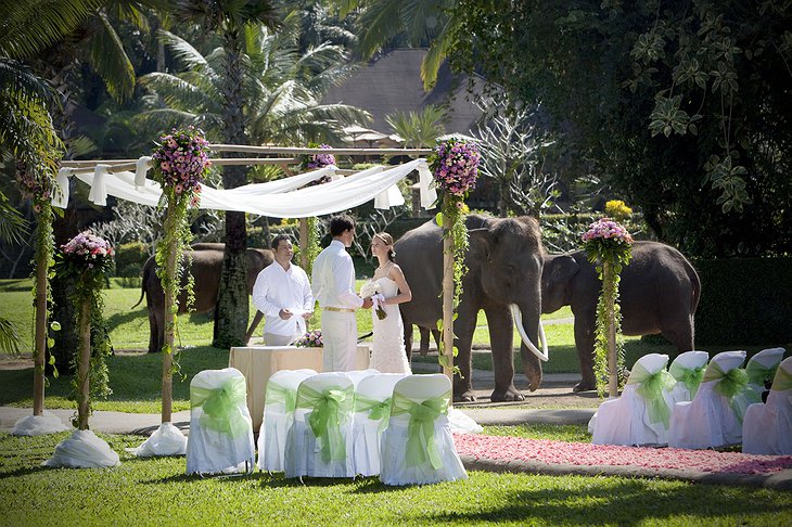 Wedding with elephants
