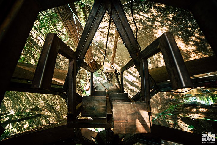 O2 Treehouse Pinecone Staircase