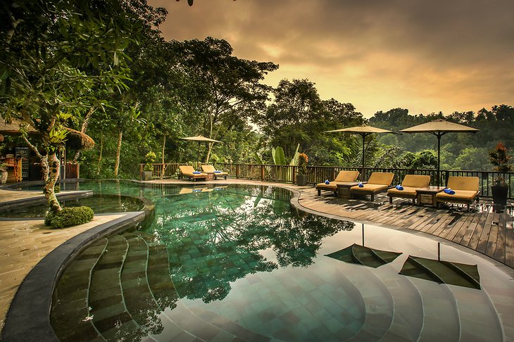 Nandini Jungle Resort Pool