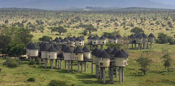 Sarova Salt Lick Game Lodge - Quirky Buildings On Sticks Surrounded By Wildlife