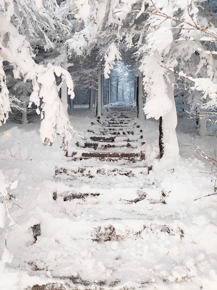 Snowy Stairs in the Forest in Iceland
