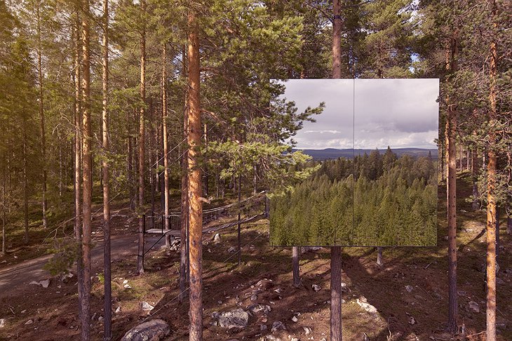 The mirror cube tree house