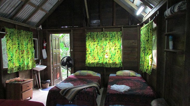Parrot Nest Lodge twin room