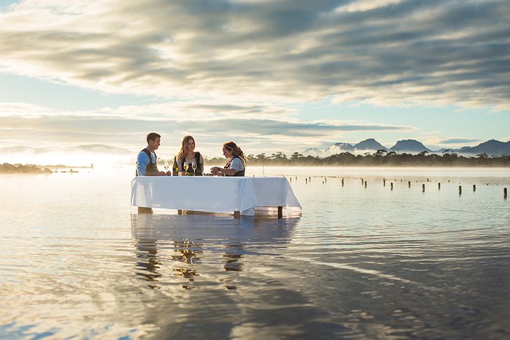 Oyster dinner in the water in Tasmania