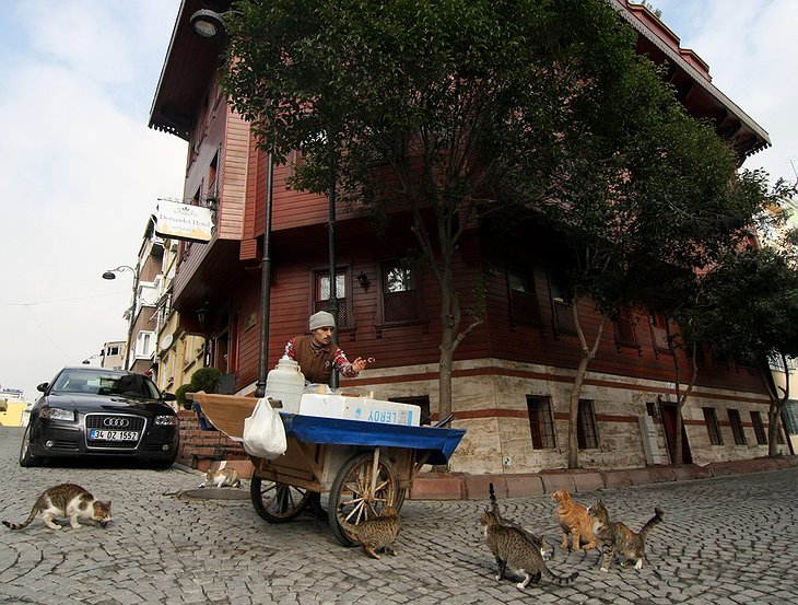 Street seller feeding cats in front of Dersaadet Hotel