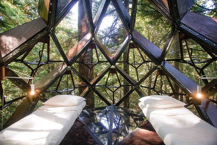 O2 Treehouse Pinecone Beds