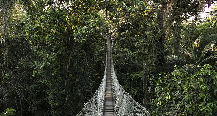 Inkaterra Reserva Amazonica Lodge Canopy Walk