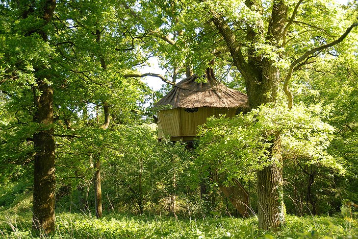 Tree Houses Alicourts in the nature