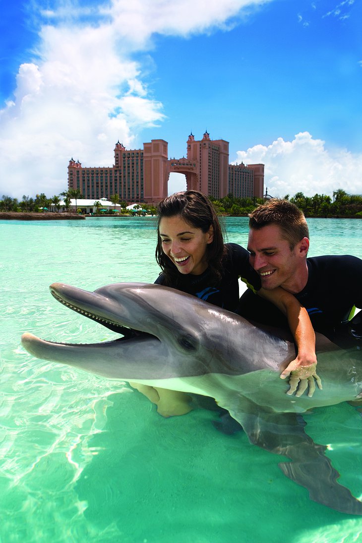 Couple hugging a dolphin