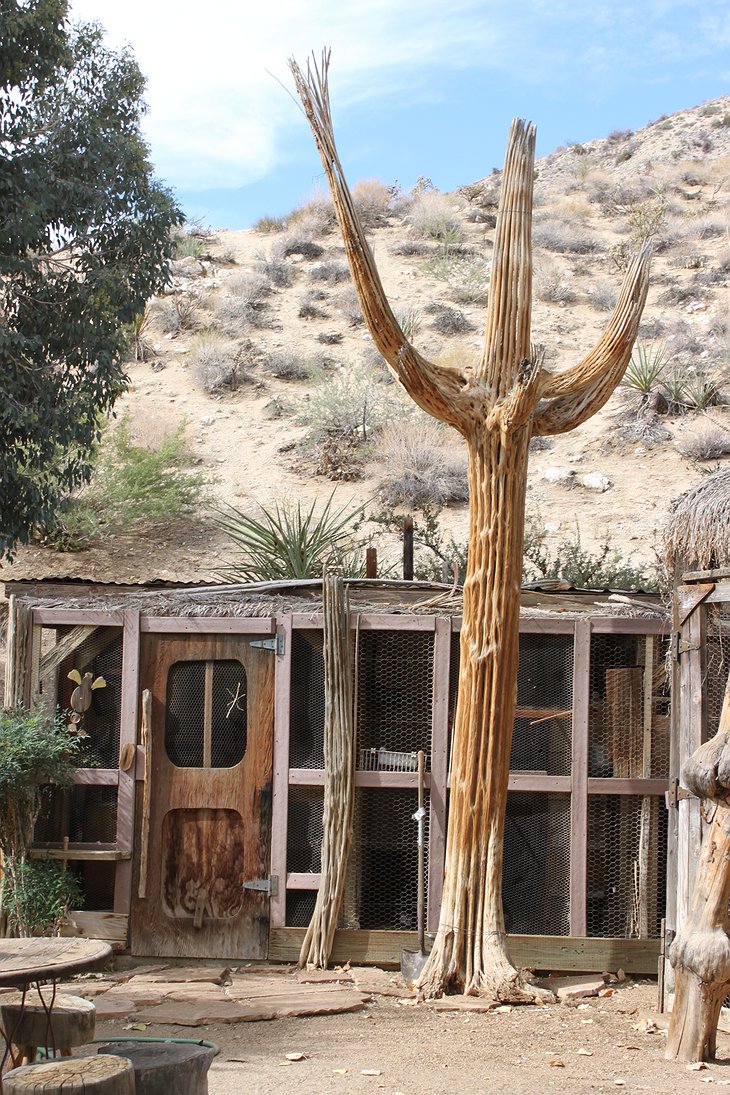 Genuine Draft Horse Ranch giant cactus