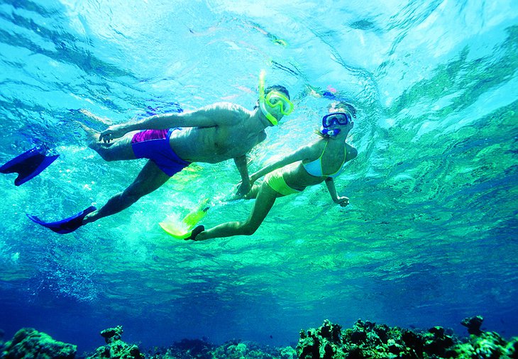 Snorkelling In Crystal Clear Warm Waters