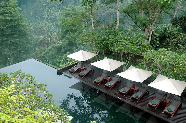 Maya Ubud Resort swimming pool with jungle view