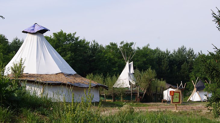 White tents at Baumhaushotel camp site