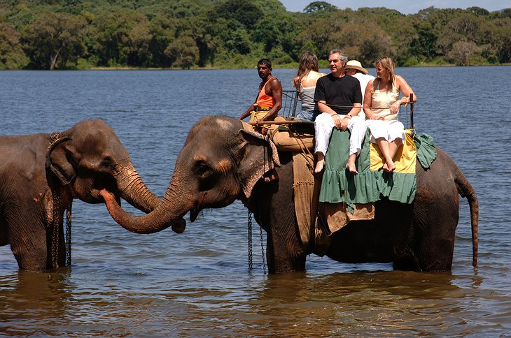Kandalama Wewa Lake elephant ride