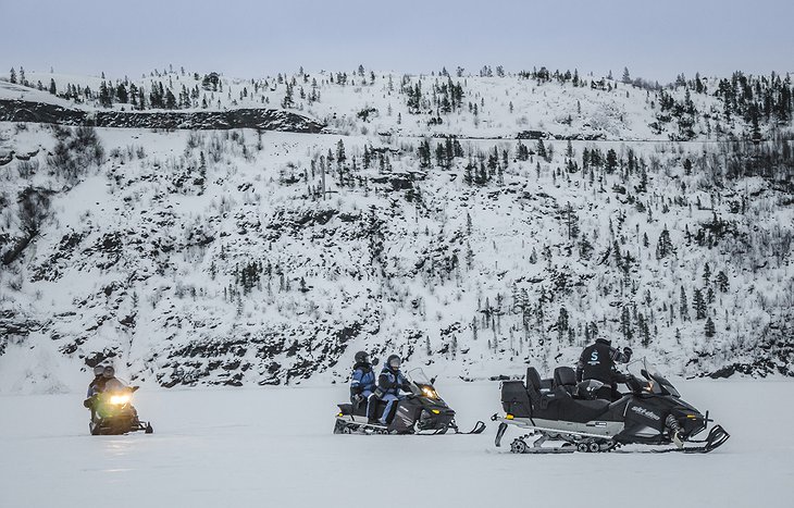 Snowmobiles in the wild