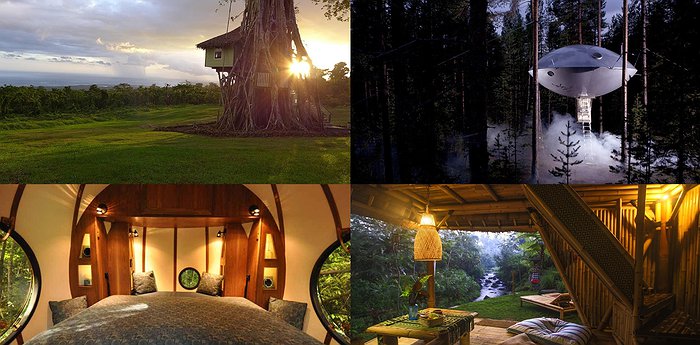 The 16 Most Unique Treehouse Hotel Designs