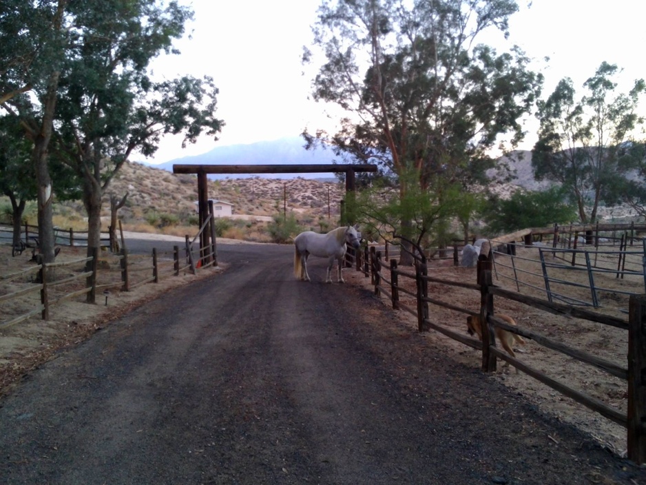 Genuine Draft Horse Ranch gate with horses