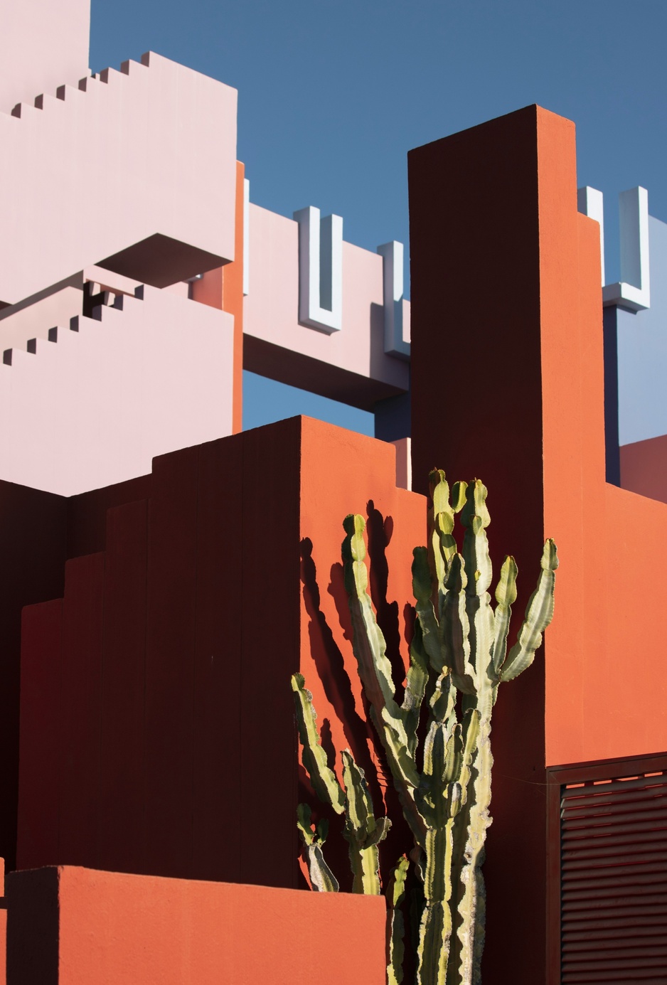 La Muralla Roja Cactus