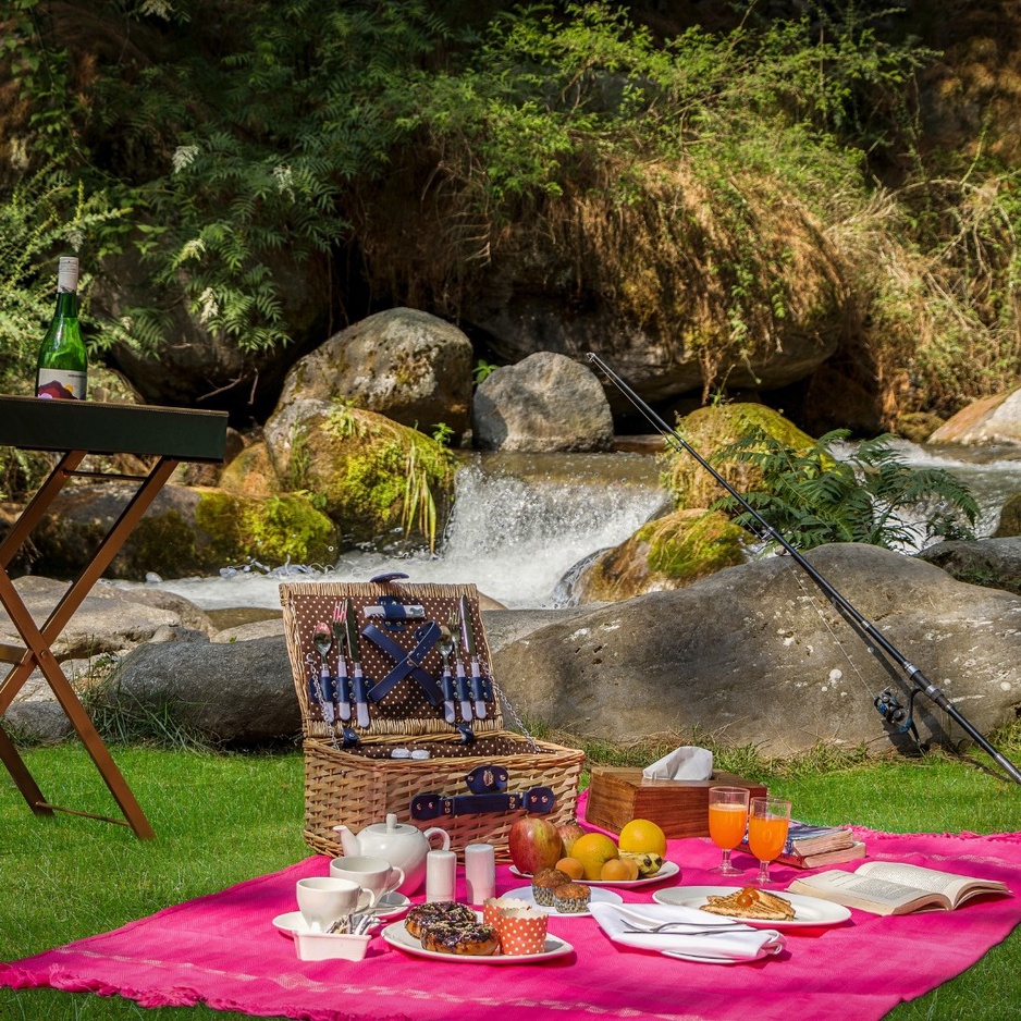 Picnic by the Beas River