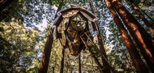 O2 Treehouse - Pinecone-Shaped Treehouse With Panoramic Views Of Red Wood Forest In California