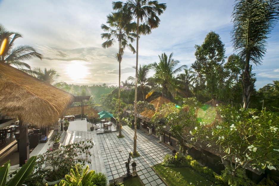 Nandini Jungle Resort Pakis Lounge and the Jungle