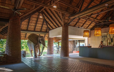 Mfuwe Lodge None