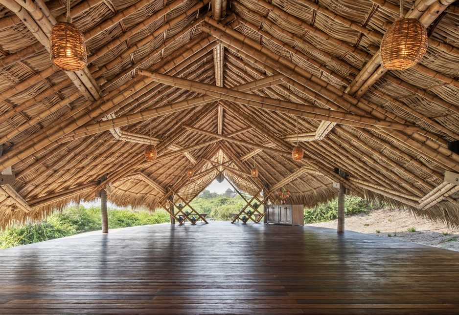 Playa Viva - Tortuga Yoga Shala