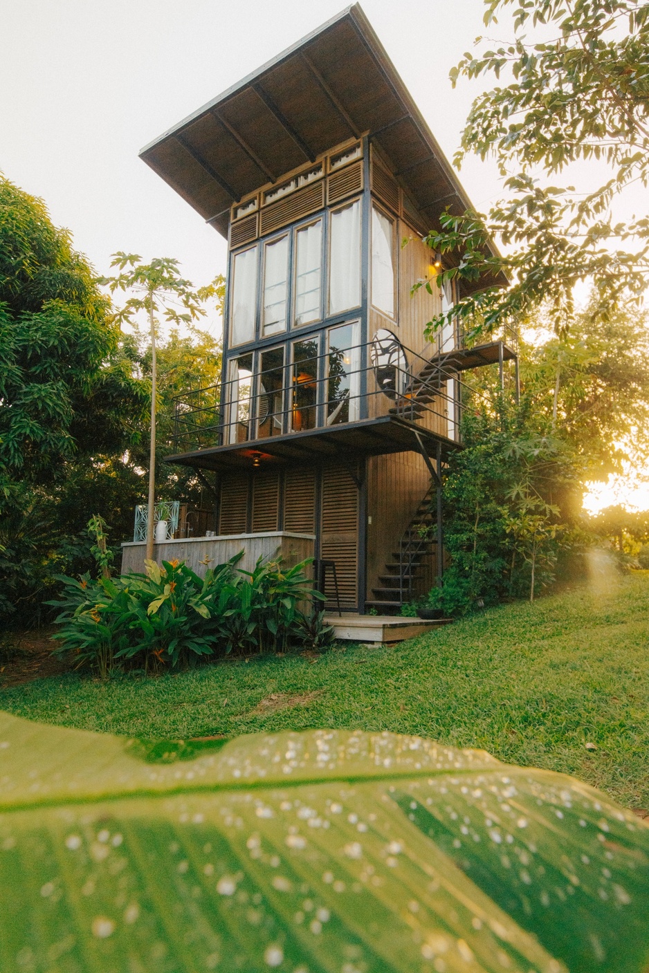 Finca Victoria