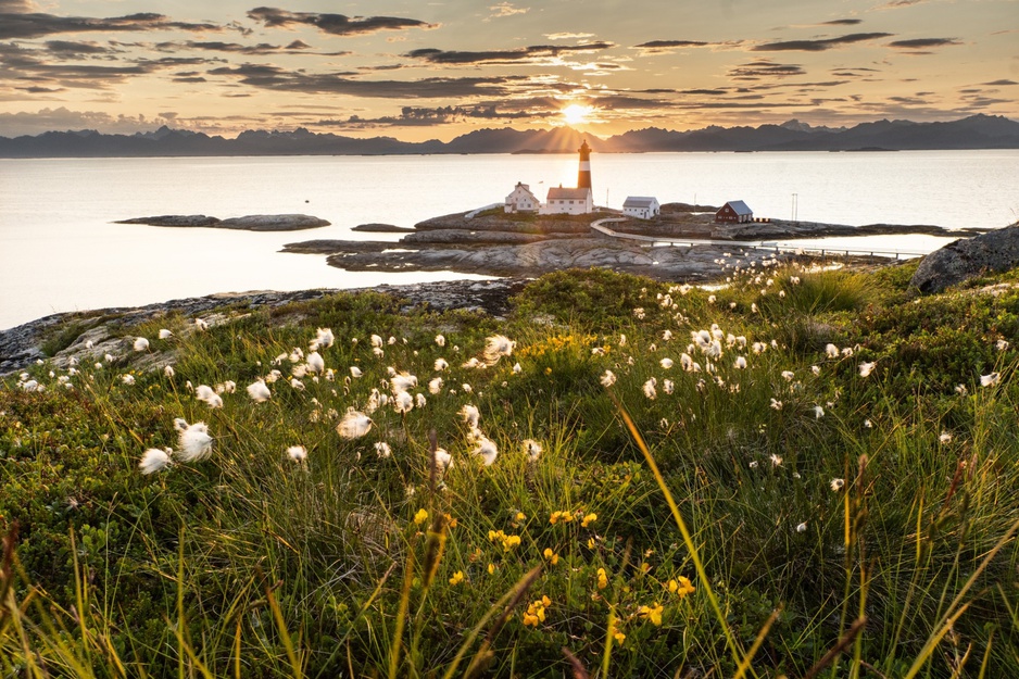 Greenery and the Tranøy Fyr Lighthouse Complex in Northern Norway