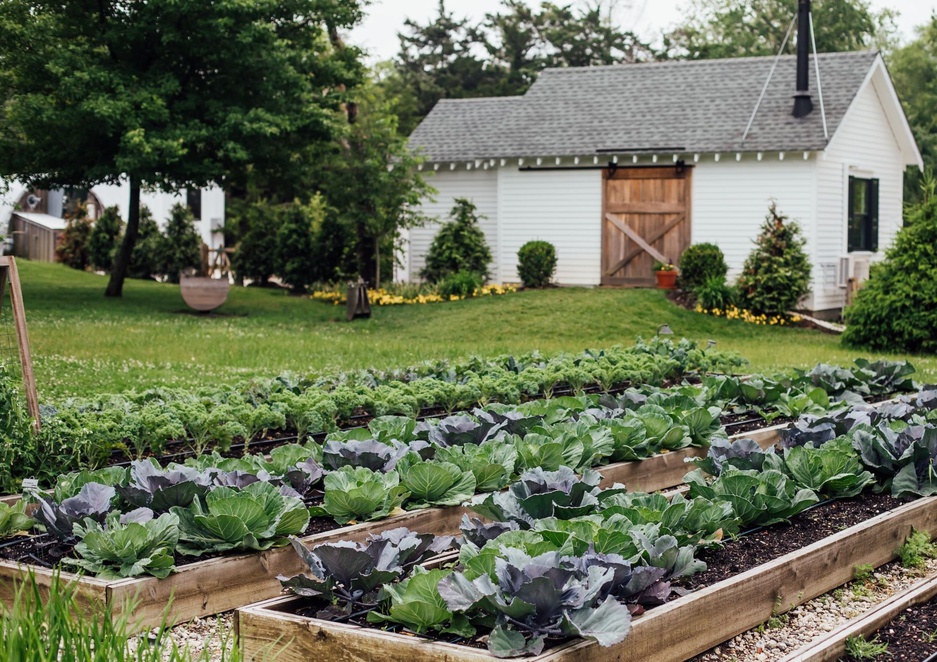 Beach Plum Farm Vegetable Garden