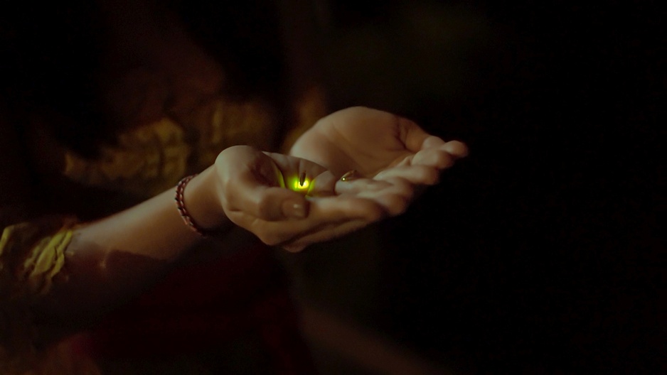 Buahan Resort - Firefly
