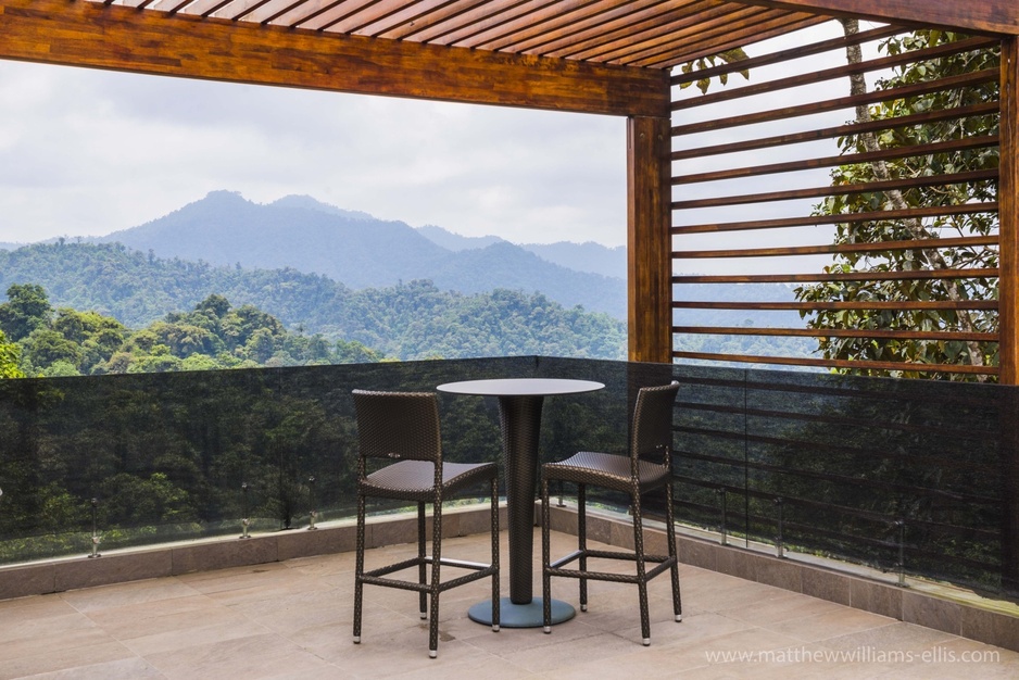 Mashpi Lodge jungle views from the terrace