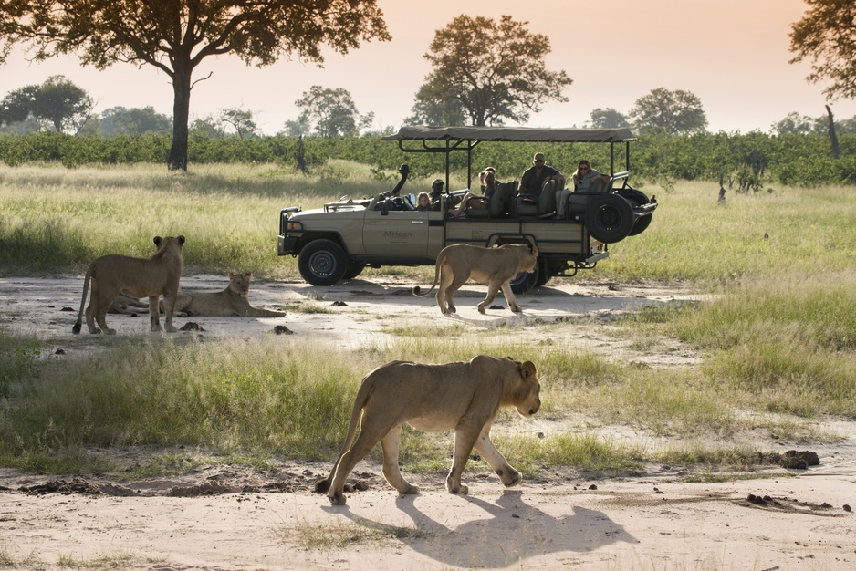 Hwange National Park