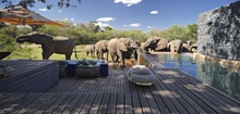 andBeyond Phinda Vlei Lodge - Private Villas In The South African Savanna