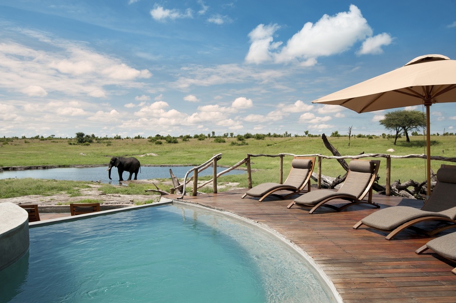 Somalisa Main Area with a Swimming Pool and an Elephant